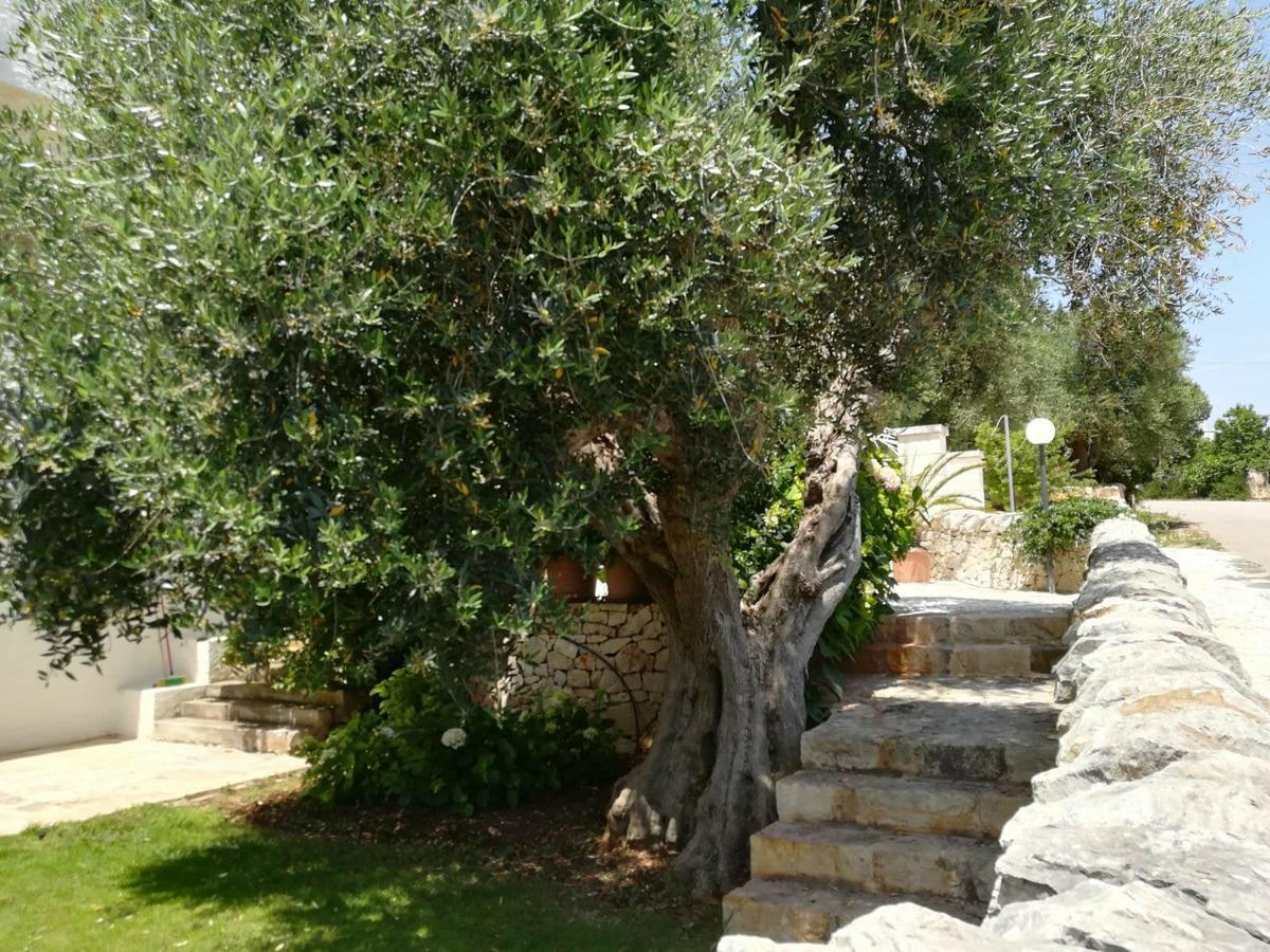 Residenza Aurora Aparthotel Ostuni Exteriör bild